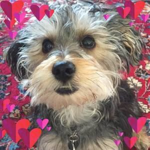 Meet your Posher, Anita